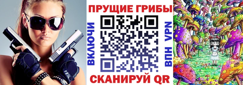 наркотики  Новошахтинск  Галлюциногенные грибы Cubensis 